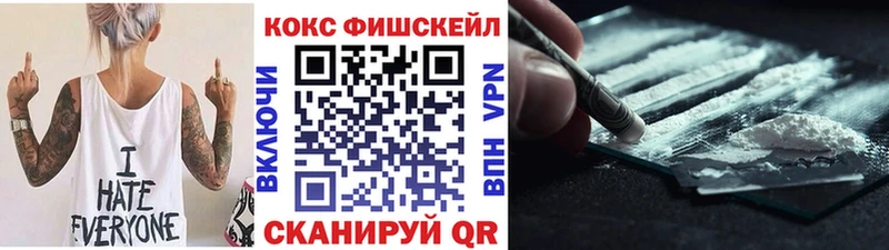 Купить  Наро-Фоминск  COCAIN Fish Scale 