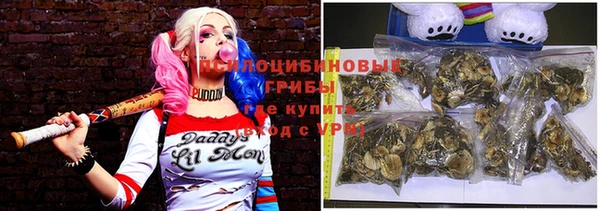 герыч Володарск