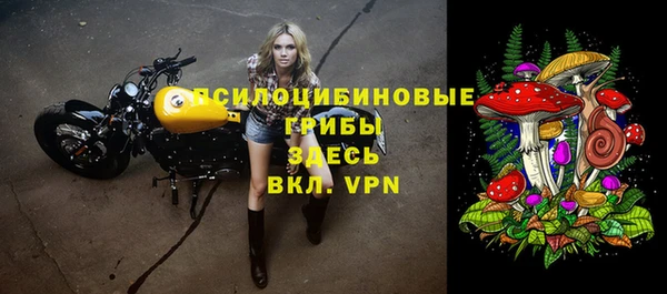 ECSTASY Волоколамск