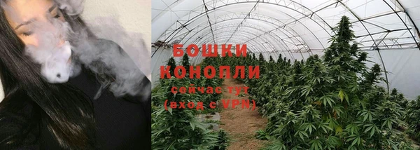 ECSTASY Волоколамск