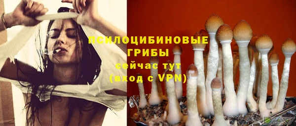 ECSTASY Волоколамск
