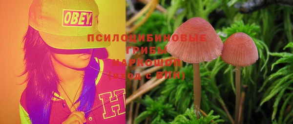 МДПВ Вязьма